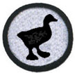 Quackery